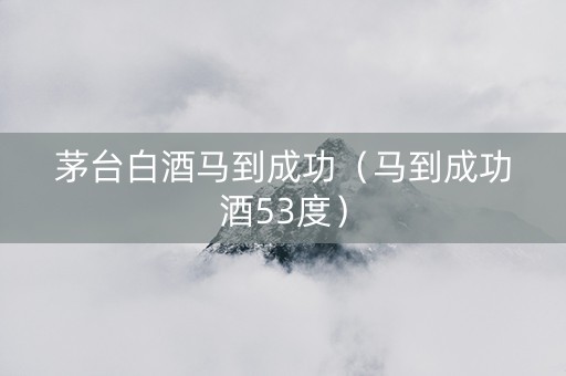 茅台白酒马到成功（马到成功酒53度）