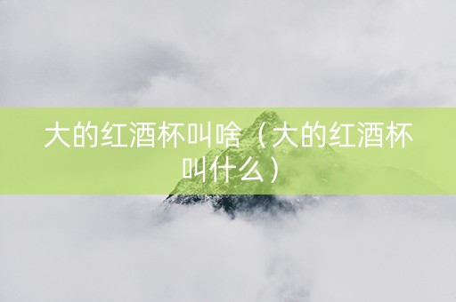 大的红酒杯叫啥（大的红酒杯叫什么）