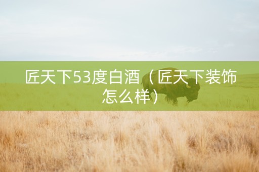 匠天下53度白酒（匠天下装饰怎么样）