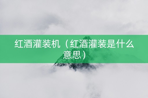 红酒灌装机（红酒灌装是什么意思）