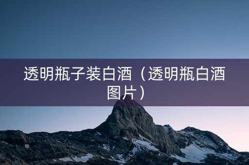 透明瓶子装白酒（透明瓶白酒图片）