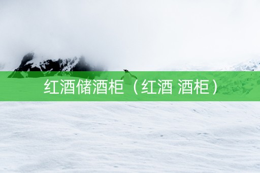 红酒储酒柜（红酒 酒柜）