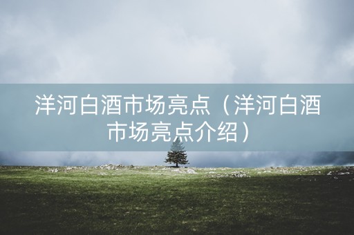 洋河白酒市场亮点（洋河白酒市场亮点介绍）