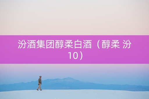 汾酒集团醇柔白酒（醇柔 汾10）