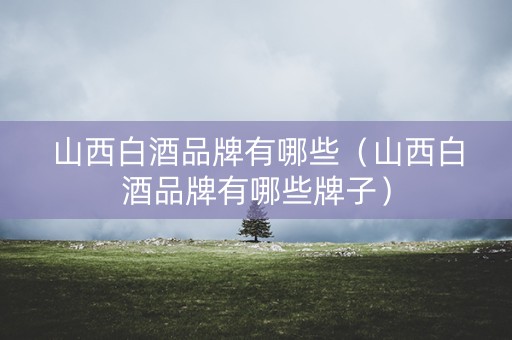 山西白酒品牌有哪些（山西白酒品牌有哪些牌子）