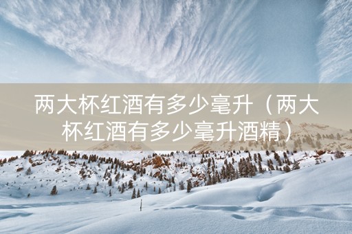 两大杯红酒有多少毫升（两大杯红酒有多少毫升酒精）