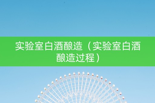 实验室白酒酿造（实验室白酒酿造过程）
