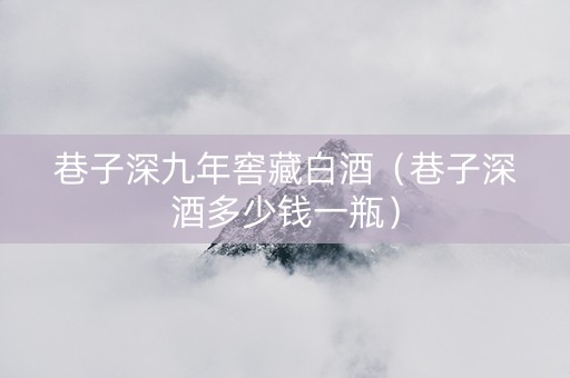 巷子深九年窖藏白酒（巷子深酒多少钱一瓶）