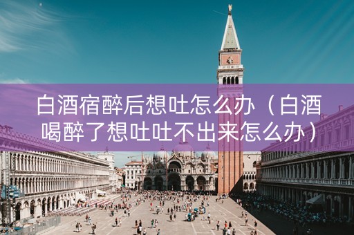 白酒宿醉后想吐怎么办（白酒喝醉了想吐吐不出来怎么办）
