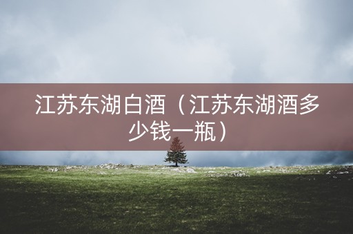 江苏东湖白酒（江苏东湖酒多少钱一瓶）