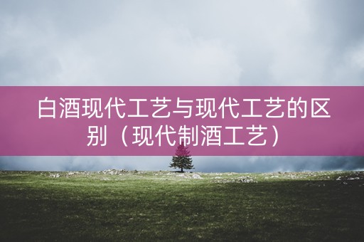 白酒现代工艺与现代工艺的区别（现代制酒工艺）