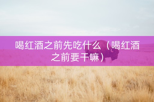 喝红酒之前先吃什么（喝红酒之前要干嘛）