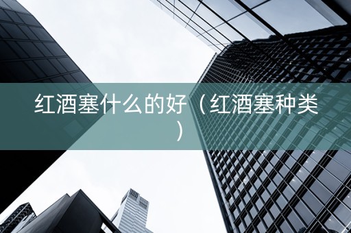 红酒塞什么的好（红酒塞种类）
