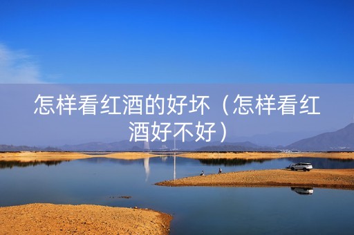 怎样看红酒的好坏（怎样看红酒好不好）