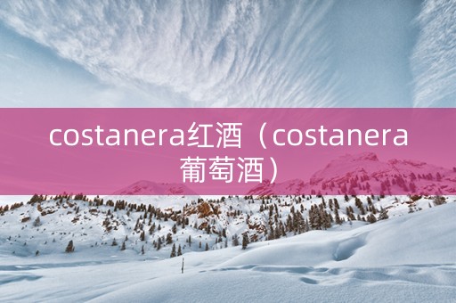 costanera红酒（costanera葡萄酒）
