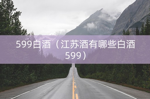 599白酒（江苏酒有哪些白酒599）