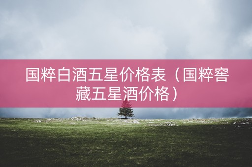 国粹白酒五星价格表（国粹窖藏五星酒价格）