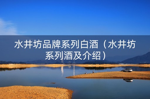 水井坊品牌系列白酒（水井坊系列酒及介绍）