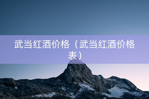 武当红酒价格（武当红酒价格表）