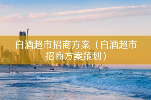 白酒超市招商方案（白酒超市招商方案策划）