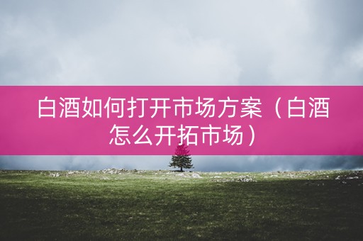 白酒如何打开市场方案（白酒怎么开拓市场）