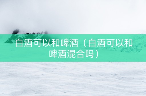 白酒可以和啤酒（白酒可以和啤酒混合吗）