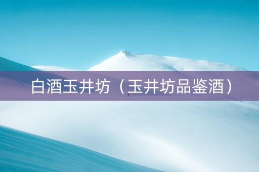 白酒玉井坊（玉井坊品鉴酒）