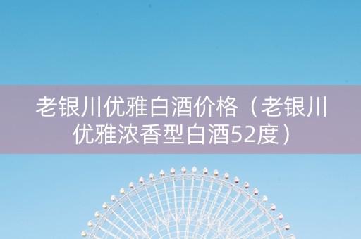 老银川优雅白酒价格（老银川优雅浓香型白酒52度）
