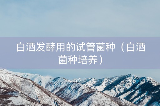 白酒发酵用的试管菌种（白酒菌种培养）