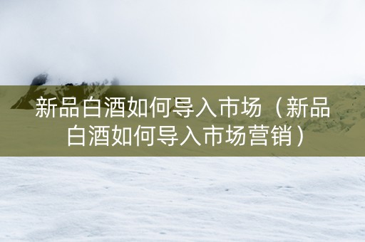 新品白酒如何导入市场（新品白酒如何导入市场营销）