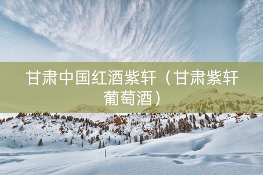 甘肃中国红酒紫轩（甘肃紫轩葡萄酒）