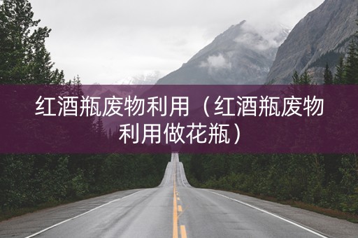 红酒瓶废物利用（红酒瓶废物利用做花瓶）