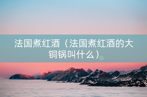 法国煮红酒（法国煮红酒的大铜锅叫什么）