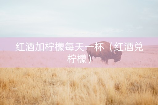 红酒加柠檬每天一杯（红酒兑柠檬）