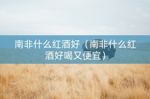 南非什么红酒好（南非什么红酒好喝又便宜）