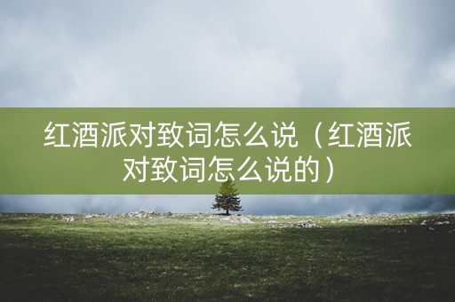 红酒派对致词怎么说（红酒派对致词怎么说的）