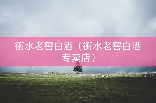 衡水老窖白酒(衡水老窖白酒专卖店) 衡水老窖白酒(衡水老窖白酒专卖店)