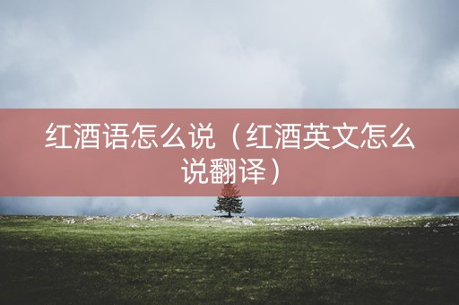 红酒语怎么说（红酒英文怎么说翻译）