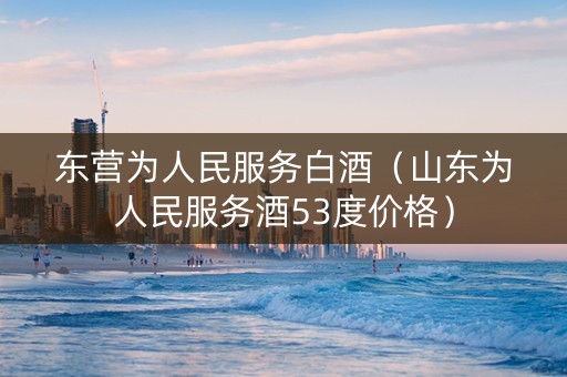 东营为人民服务白酒（山东为人民服务酒53度价格）