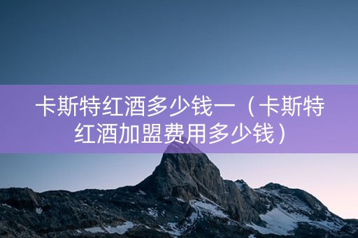 卡斯特红酒多少钱一（卡斯特红酒加盟费用多少钱）