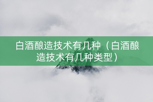 白酒酿造技术有几种（白酒酿造技术有几种类型）