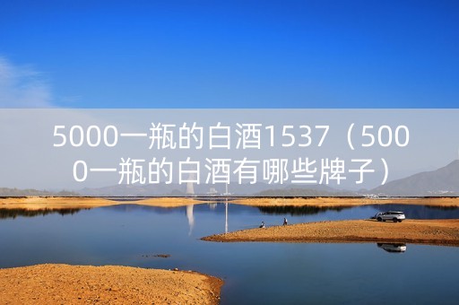 5000一瓶的白酒1537（5000一瓶的白酒有哪些牌子）