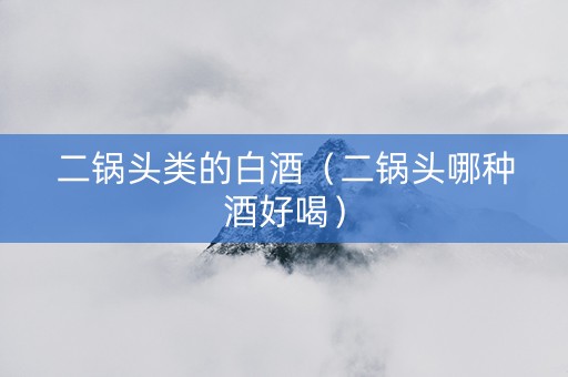 二锅头类的白酒（二锅头哪种酒好喝）