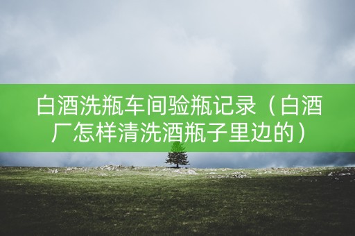 白酒洗瓶车间验瓶记录（白酒厂怎样清洗酒瓶子里边的）