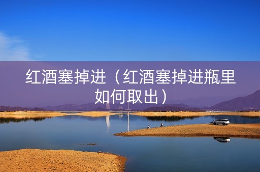 红酒塞掉进（红酒塞掉进瓶里如何取出）
