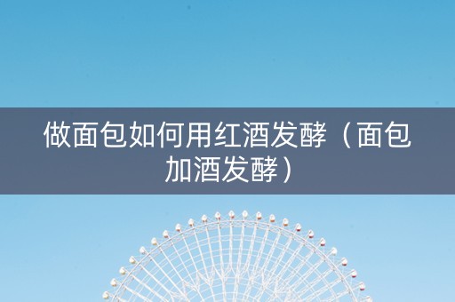 做面包如何用红酒发酵（面包加酒发酵）