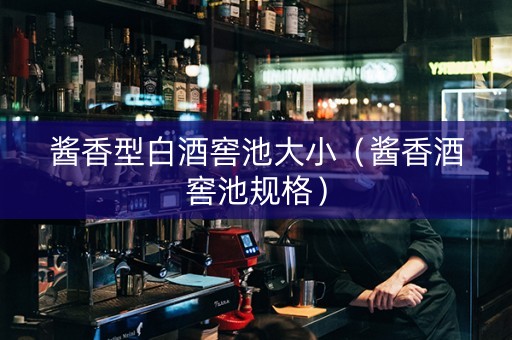 酱香型白酒窖池大小（酱香酒窖池规格）