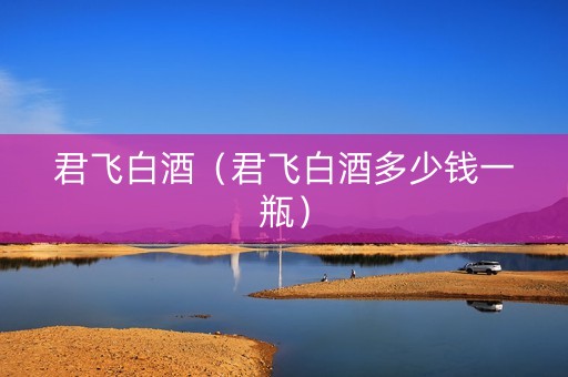 君飞白酒（君飞白酒多少钱一瓶）