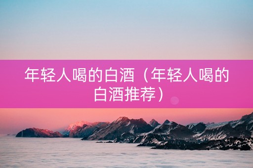 年轻人喝的白酒（年轻人喝的白酒推荐）