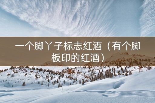 一个脚丫子标志红酒（有个脚板印的红酒）
